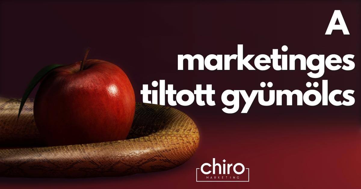 Chiro Marketing Google Ads hirdetés